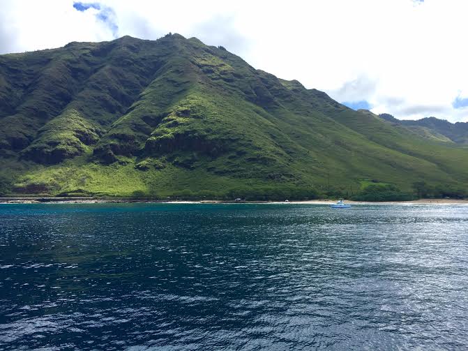 ハワイ・ドルフィンツアー３