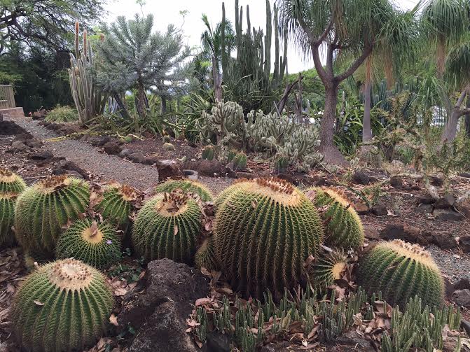 KKCファーマーズマーケット５