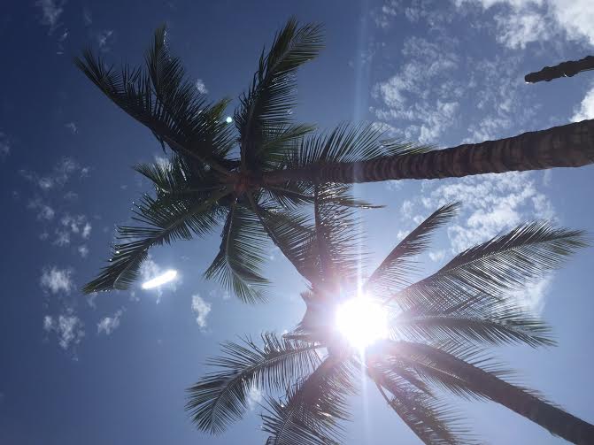 ワイキキビーチ２