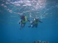 ハナウマ湾シュノーケリング