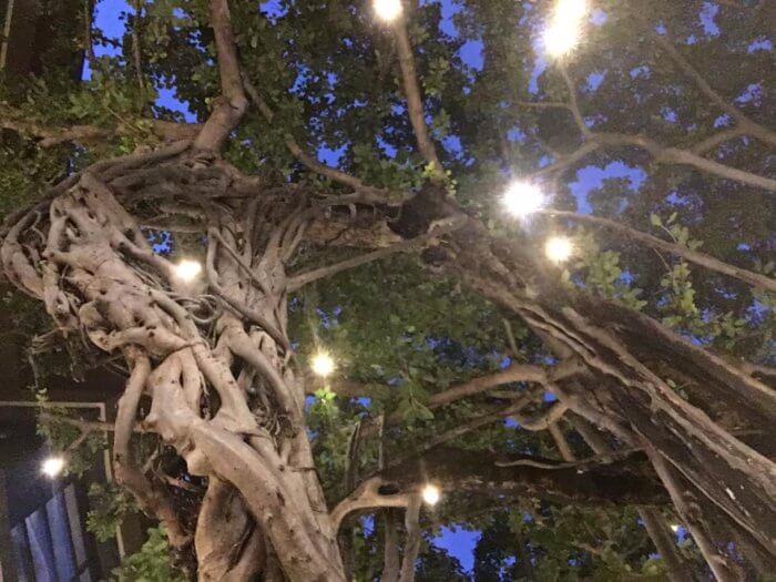 ハワイ・ワイキキの夜