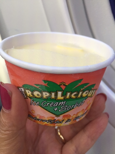 JAL機内食アイスクリーム