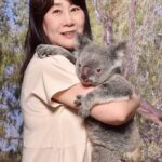 キュランダ村でコアラ抱っこ