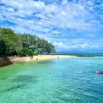 ケアンズ・グリーン島の海