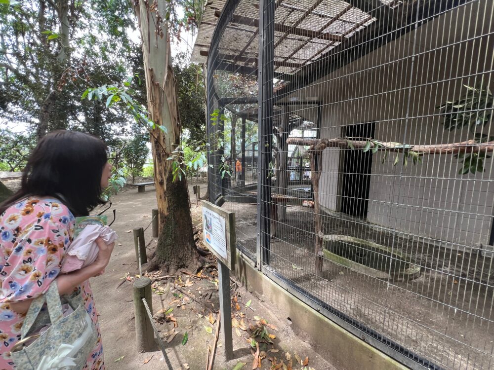 キャンベルタウン野鳥の森・柵の中にいる鳥