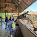 Safari Worldでキリンに餌やり