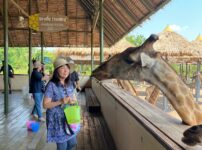 Safari Worldでキリンに餌やり