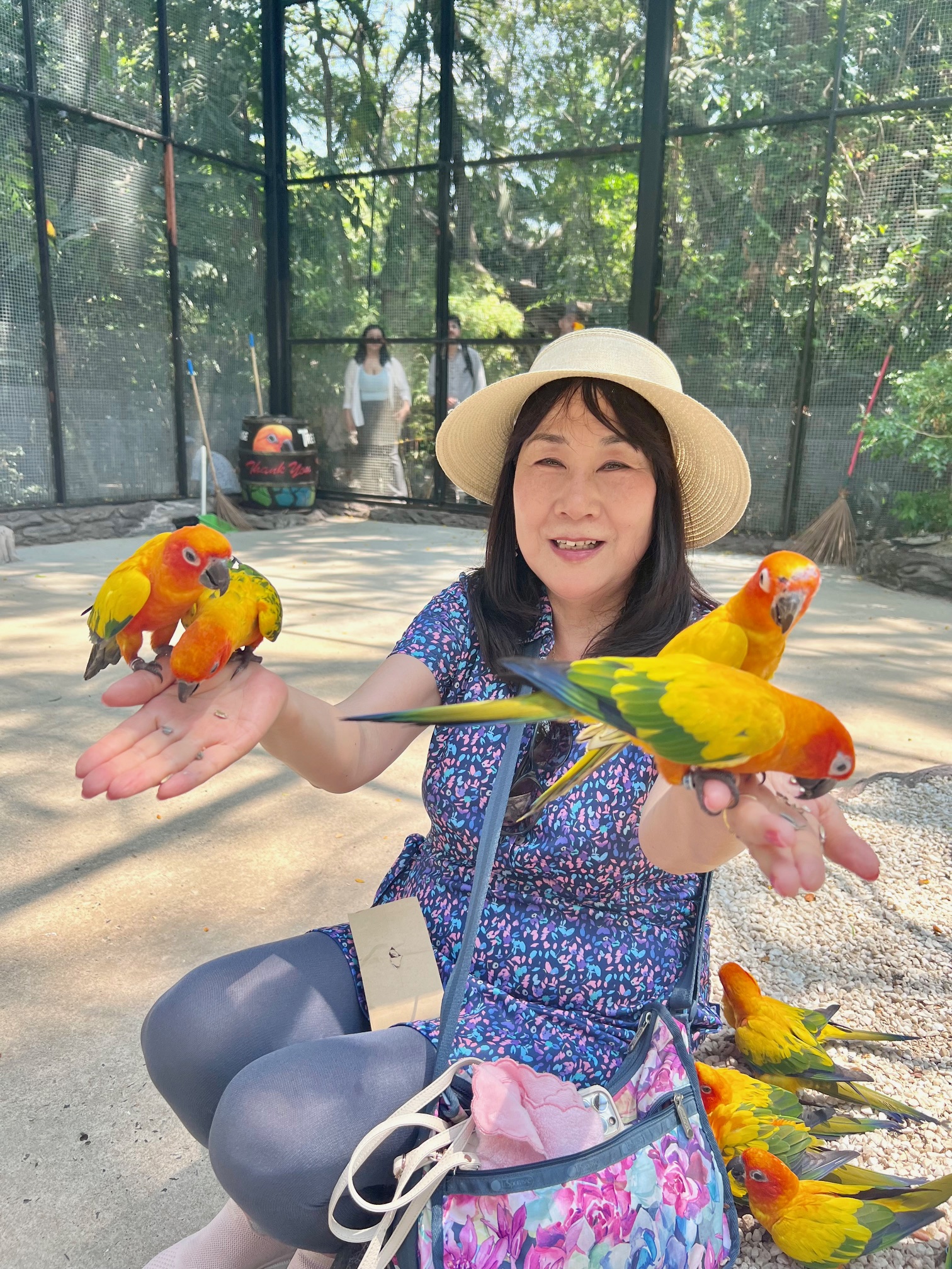 60代タイ旅行で持って行ってよかったもの