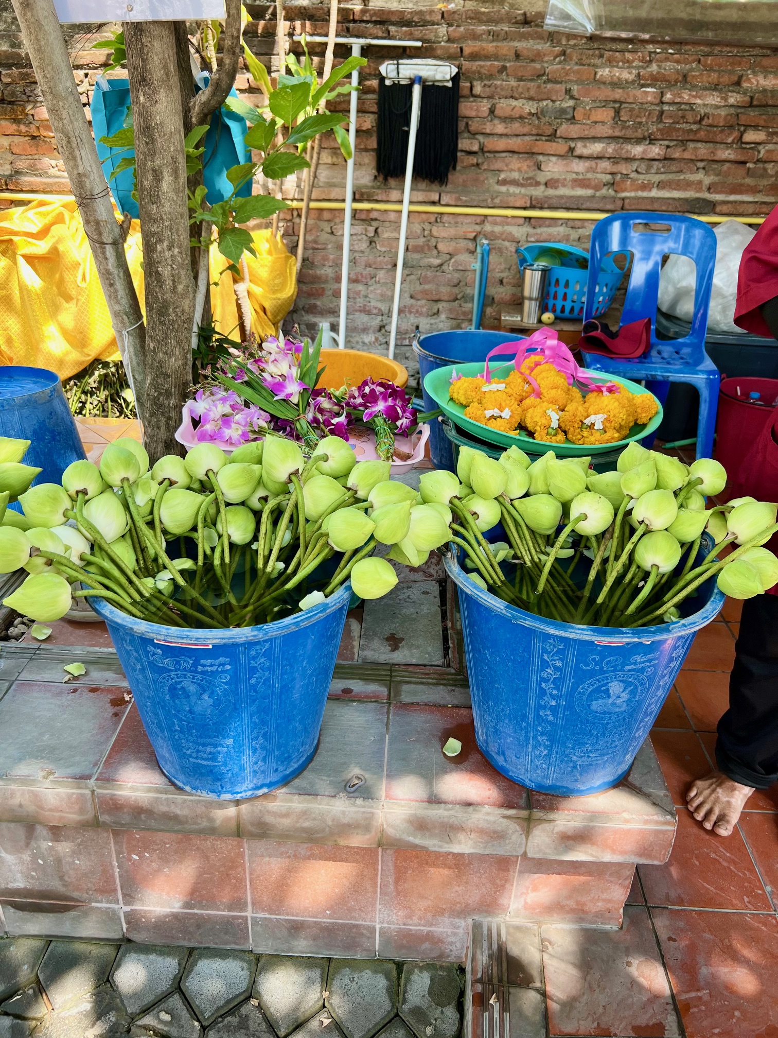 アユタヤ「ワット・ヤイ・チャイ・モンコン（Wat Yai Chai Mongkhon）」で参拝２
