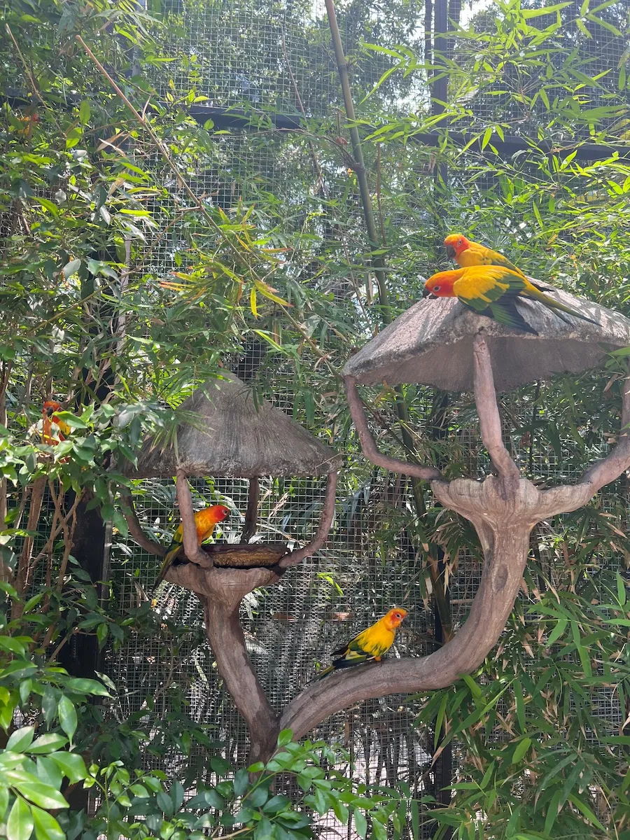 タイSafari World（サファリワールド）で鳥とのふれあい