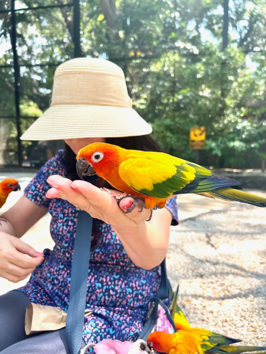 タイSafari World（サファリワールド）でコガネメキシコインコと触れ合い