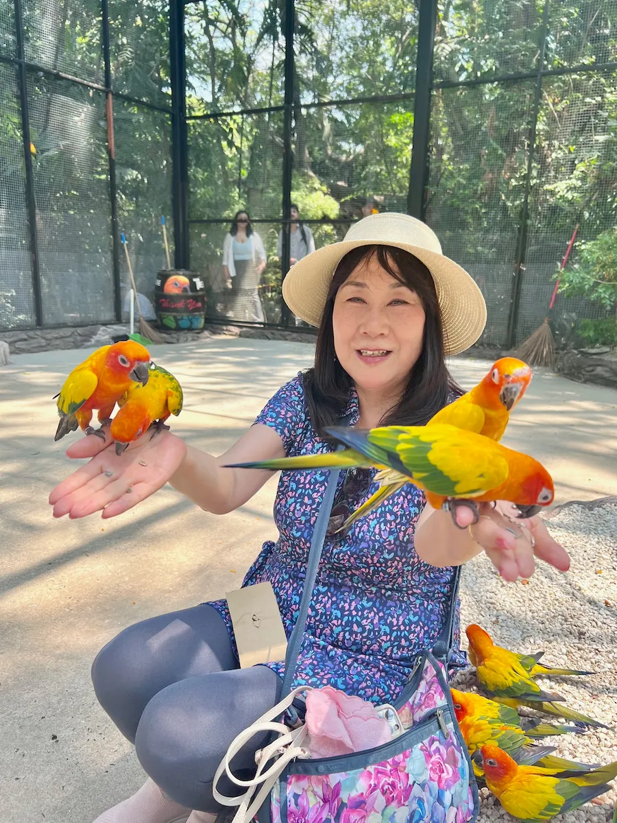タイSafari World（サファリワールド）でコガネメキシコインコと触れ合いかわいい鳥