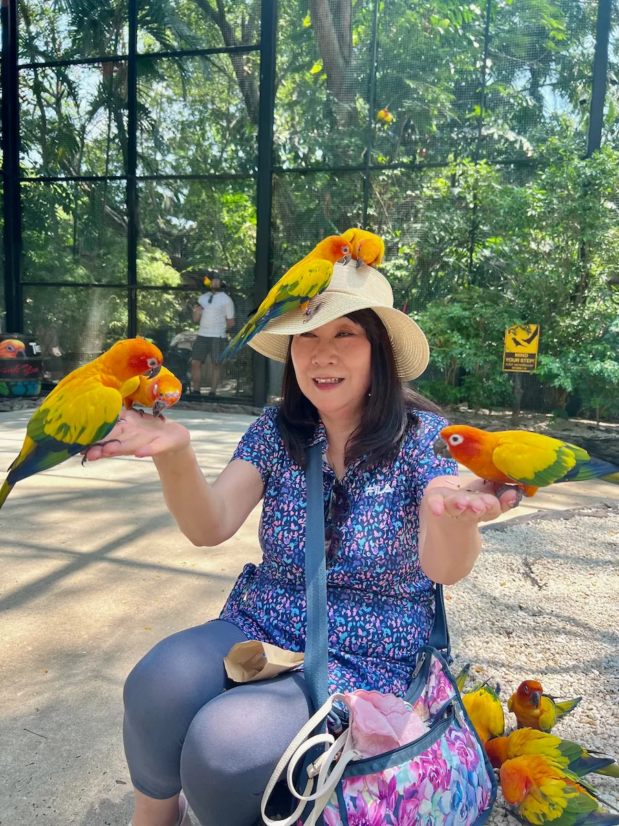 タイSafari World（サファリワールド）でコガネメキシコインコと触れ合い頭に鳥が乗る