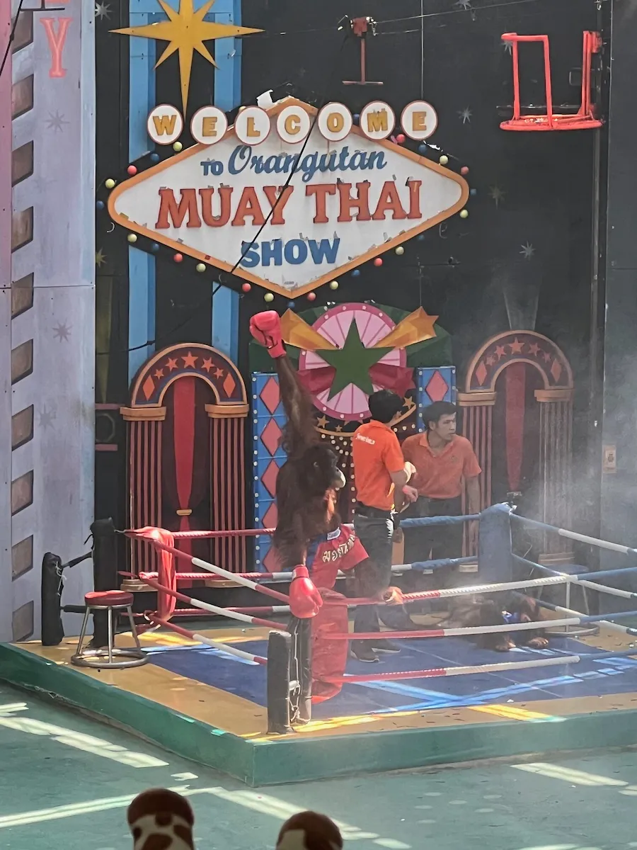 タイSafari Worldのオラウータンショー（ムエタイをする）