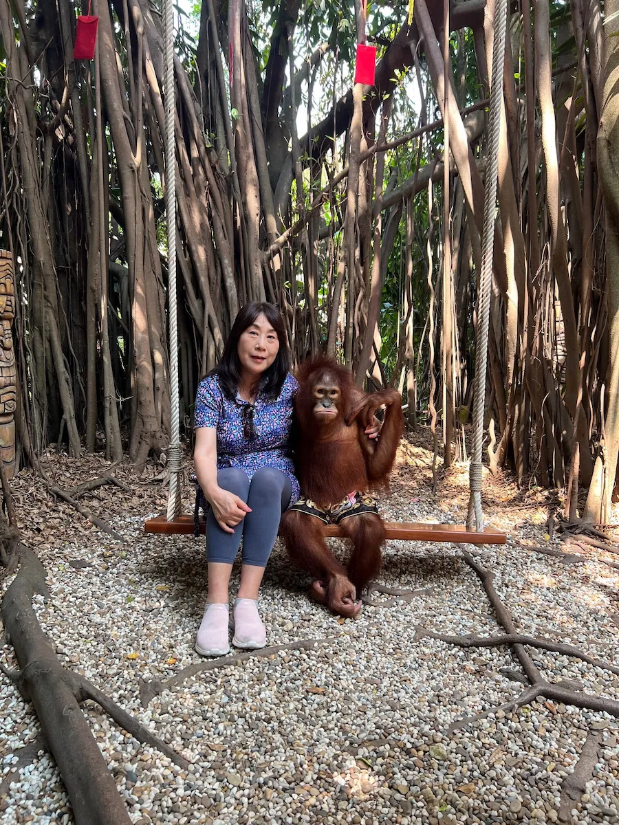 タイSafari World（サファリワールド）オランウータンと写真撮影座りポーズ