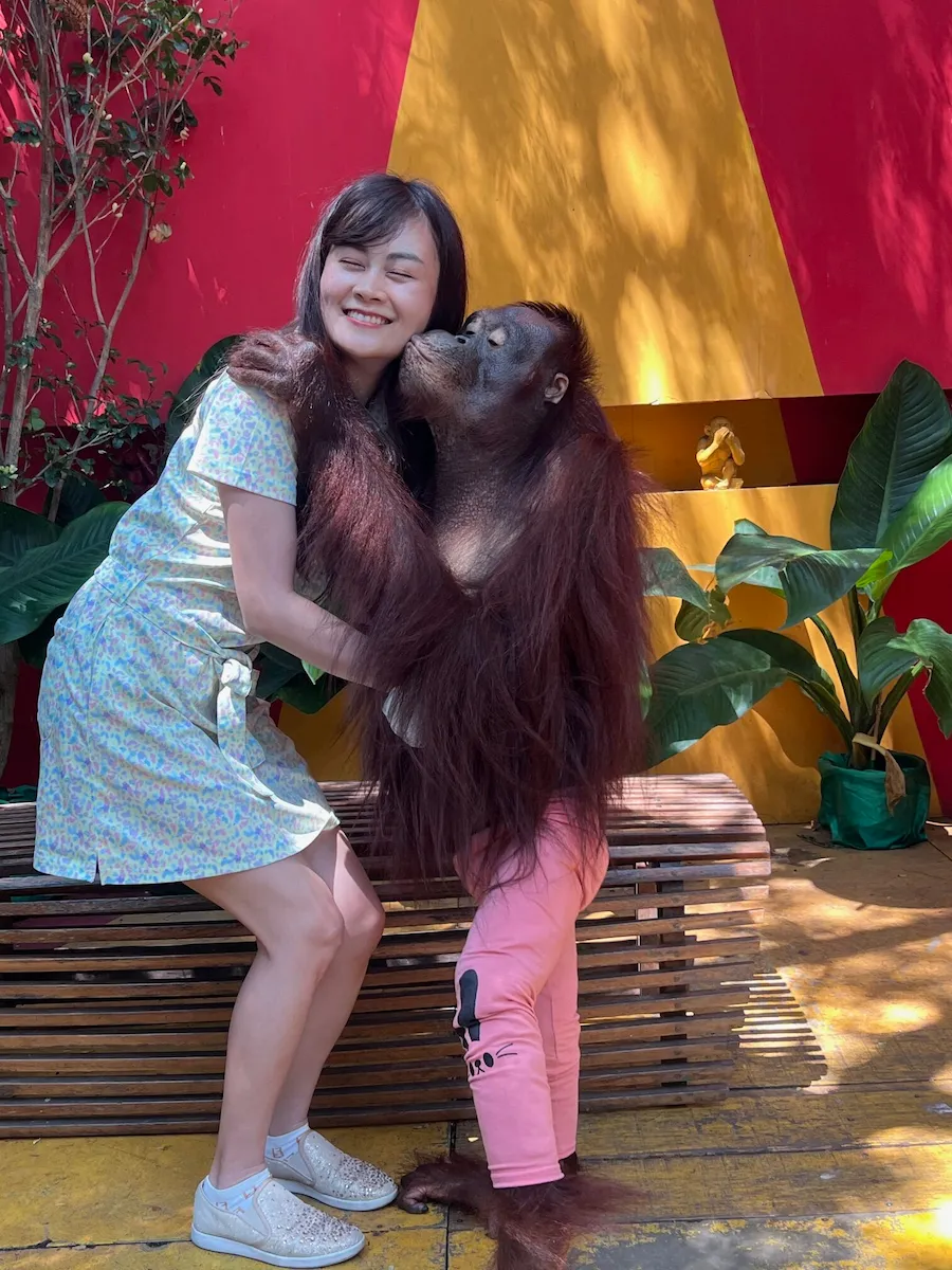 タイSafari World（サファリワールド）オランウータンと写真撮影・ベテランオランウータン・キスポーズ