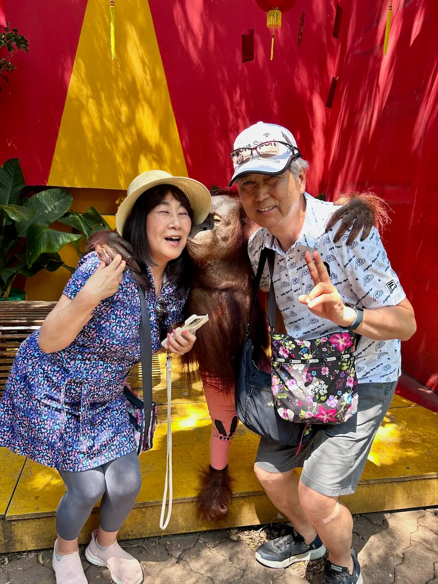 タイのサファリワールドでオランウータンと写真撮影を楽しむ60代夫婦と娘・キスポーズ