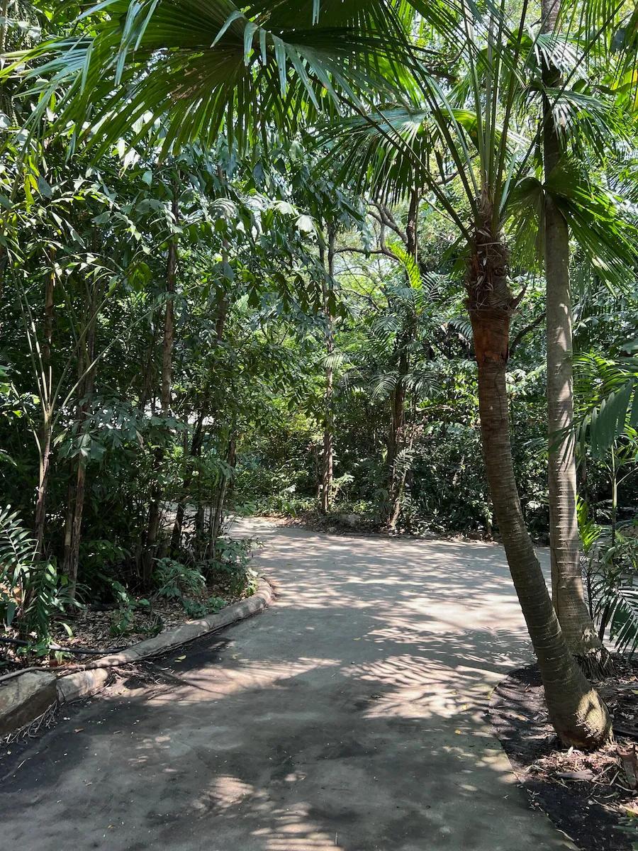 タイSafari World（サファリワールド）の敷地内の園内の道