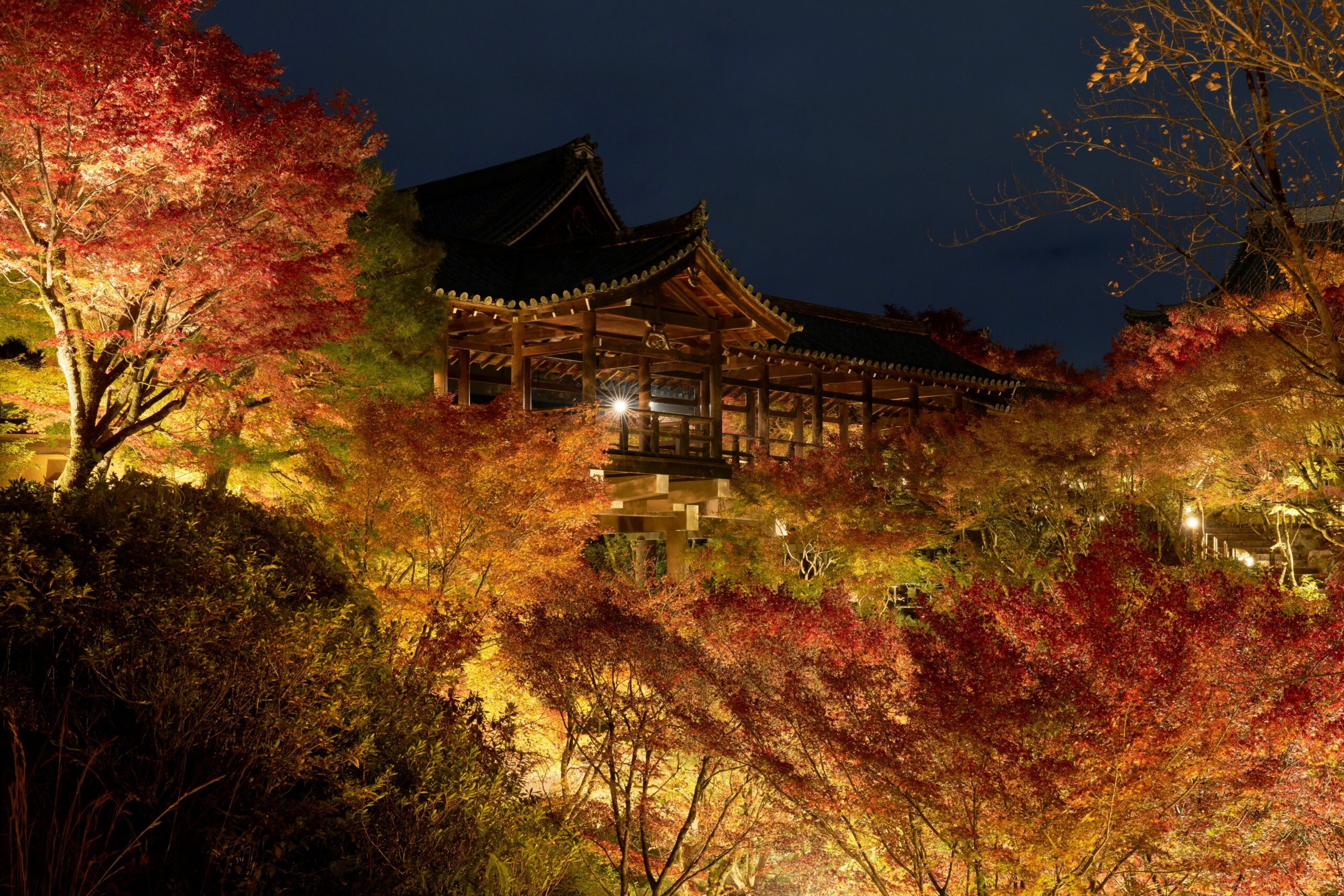 そうだ京都へ行こうの今年の舞台