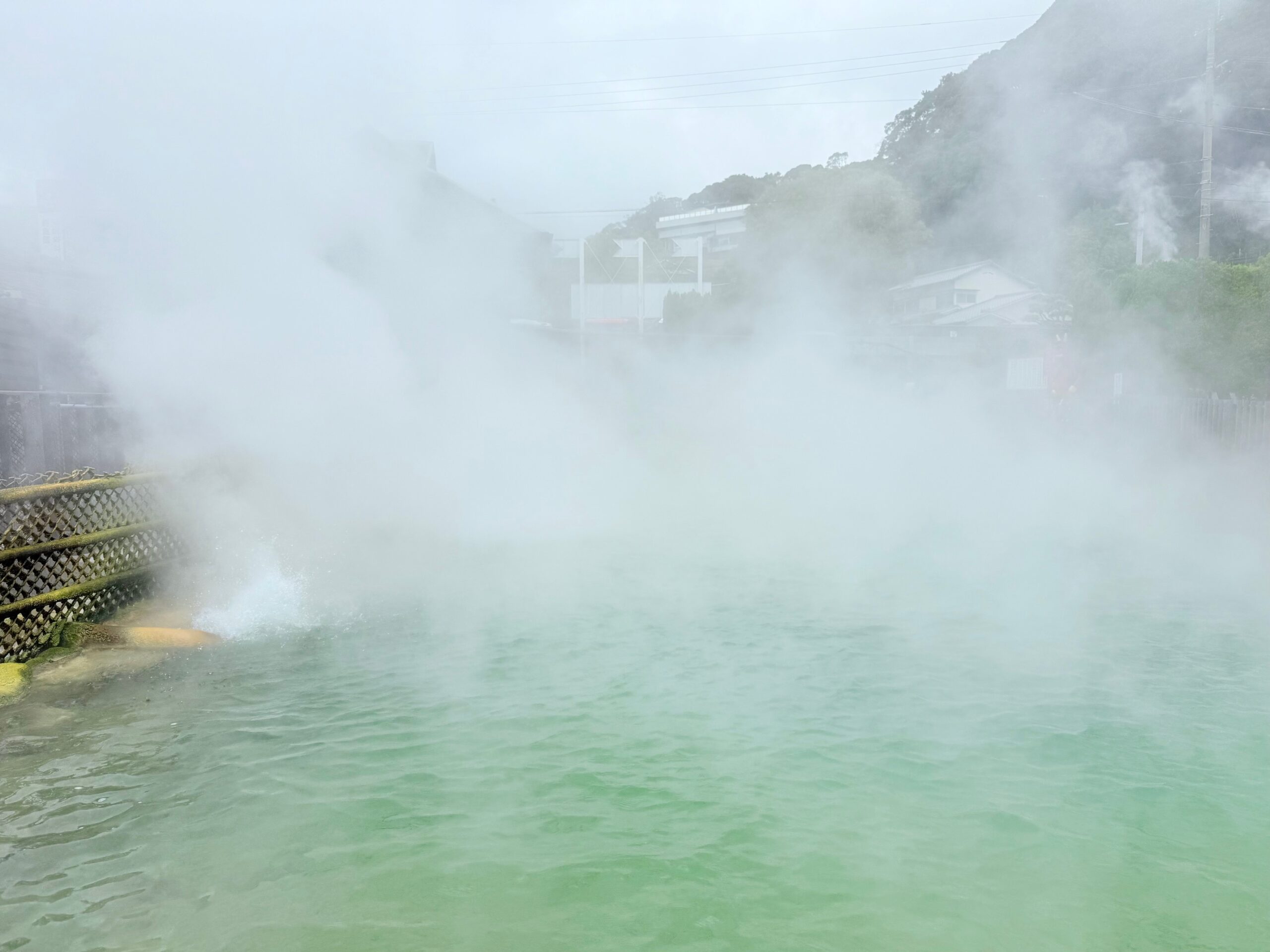大分別府「地獄めぐり」鬼山地獄（ワニ地獄）