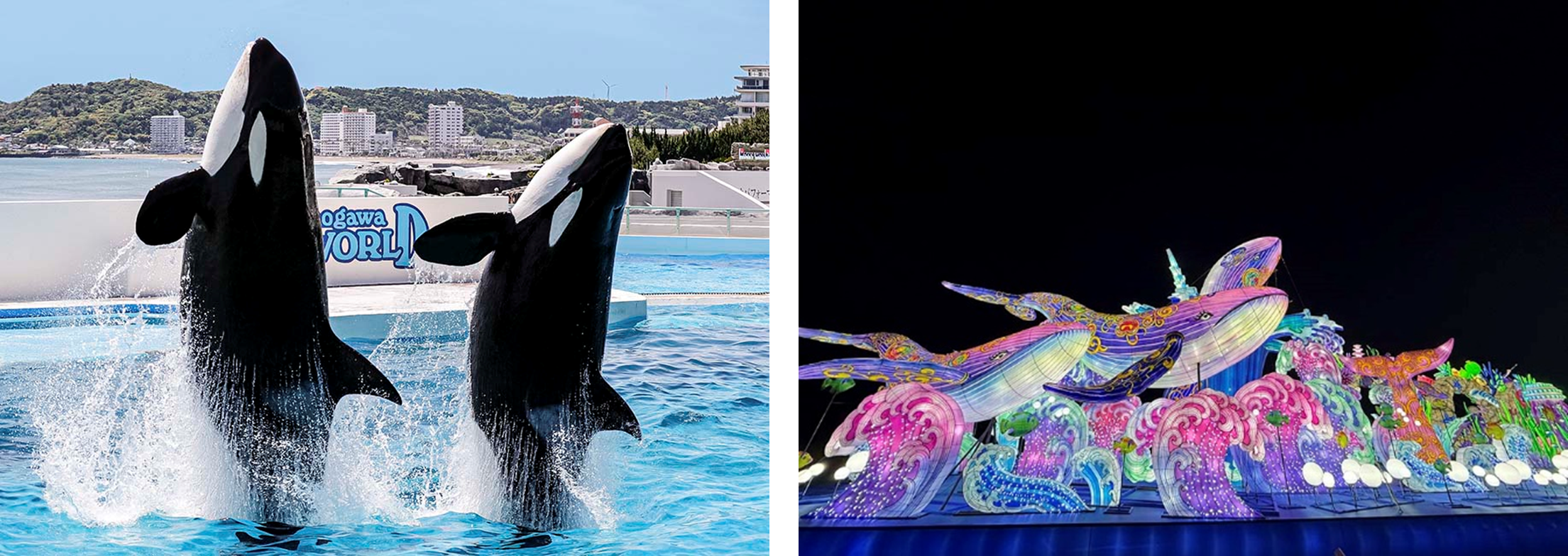 鴨川シーワールド＆東京ドイツ村