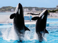 鴨川シーワールド