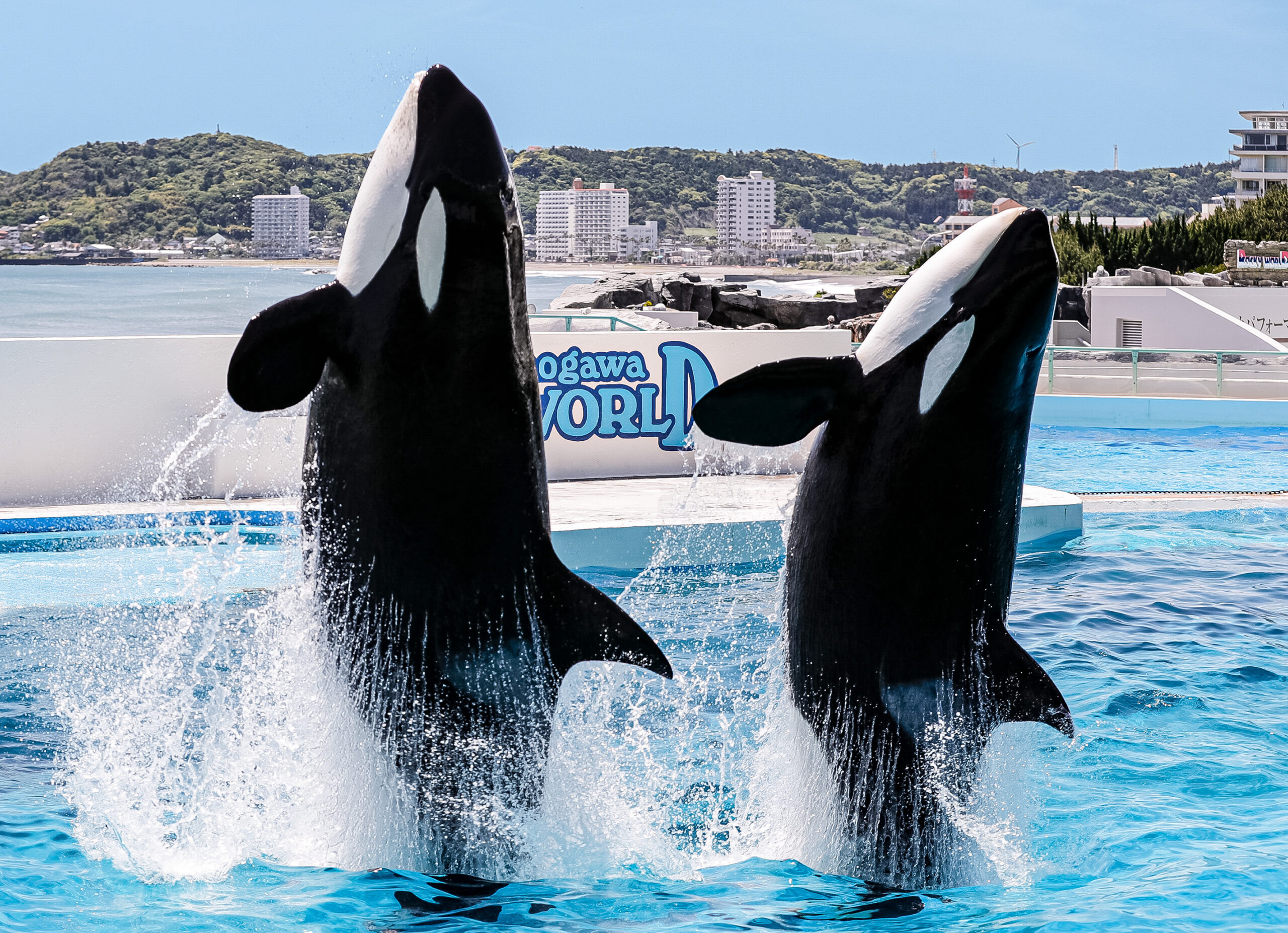 鴨川シーワールド