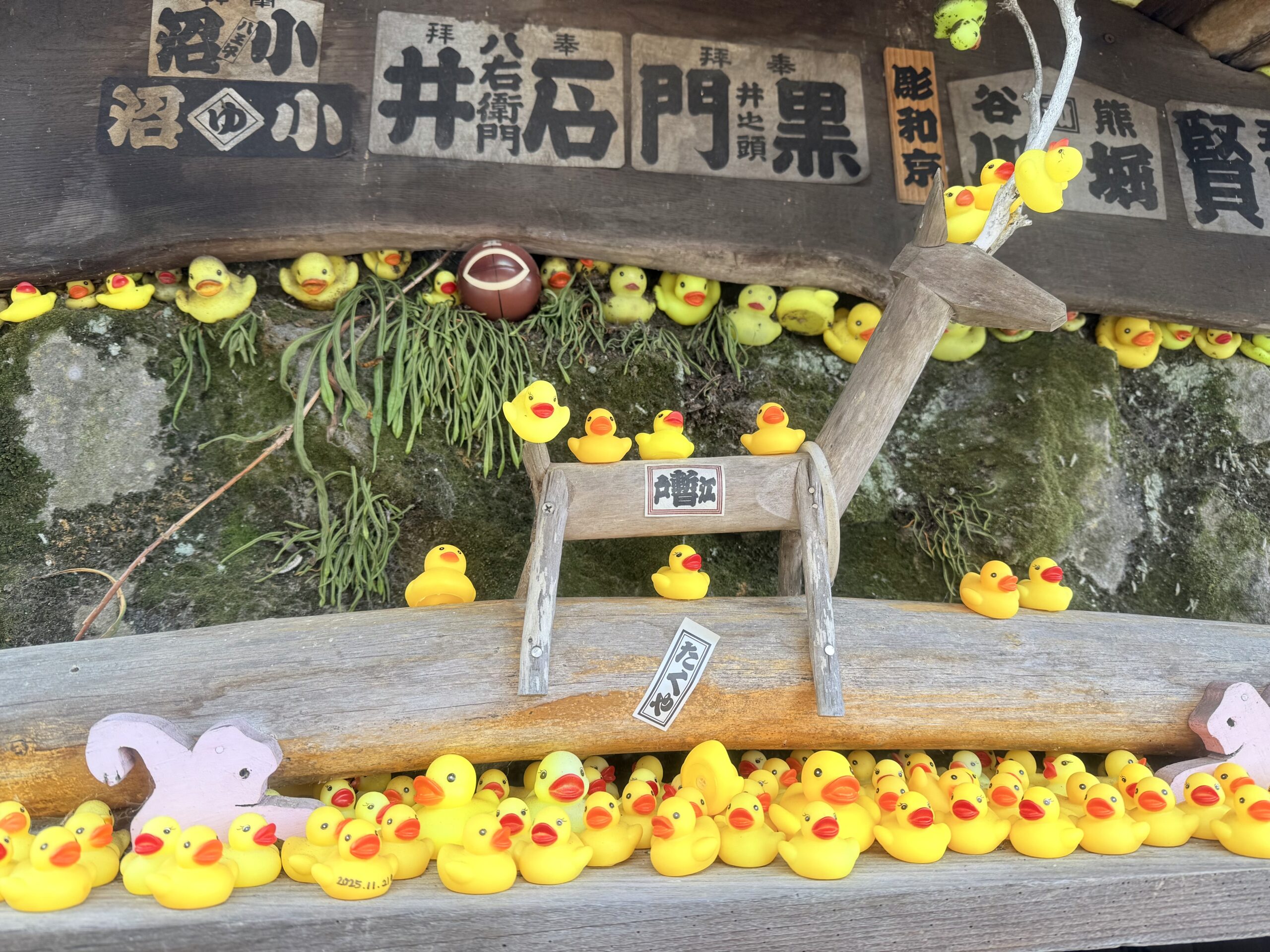 伊香保温泉の石段街にあったアヒルアップ