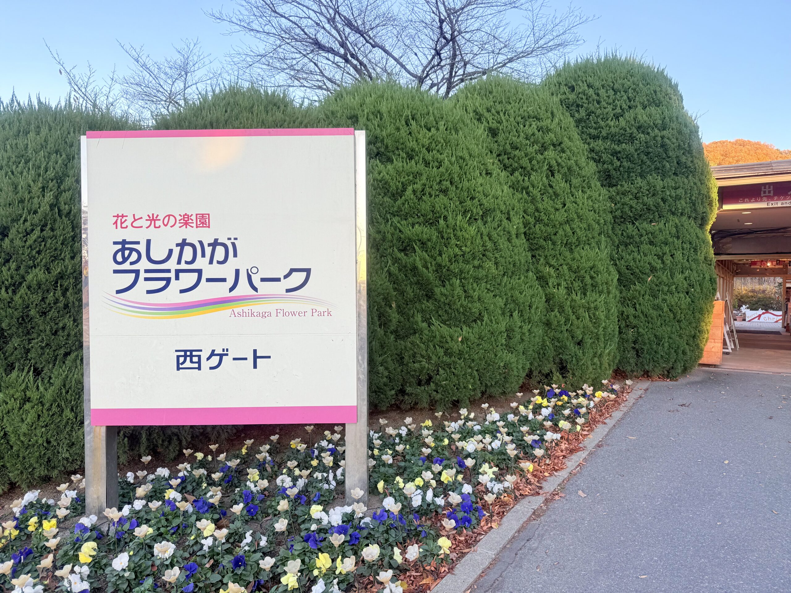 あしかがフラワーパーク入口