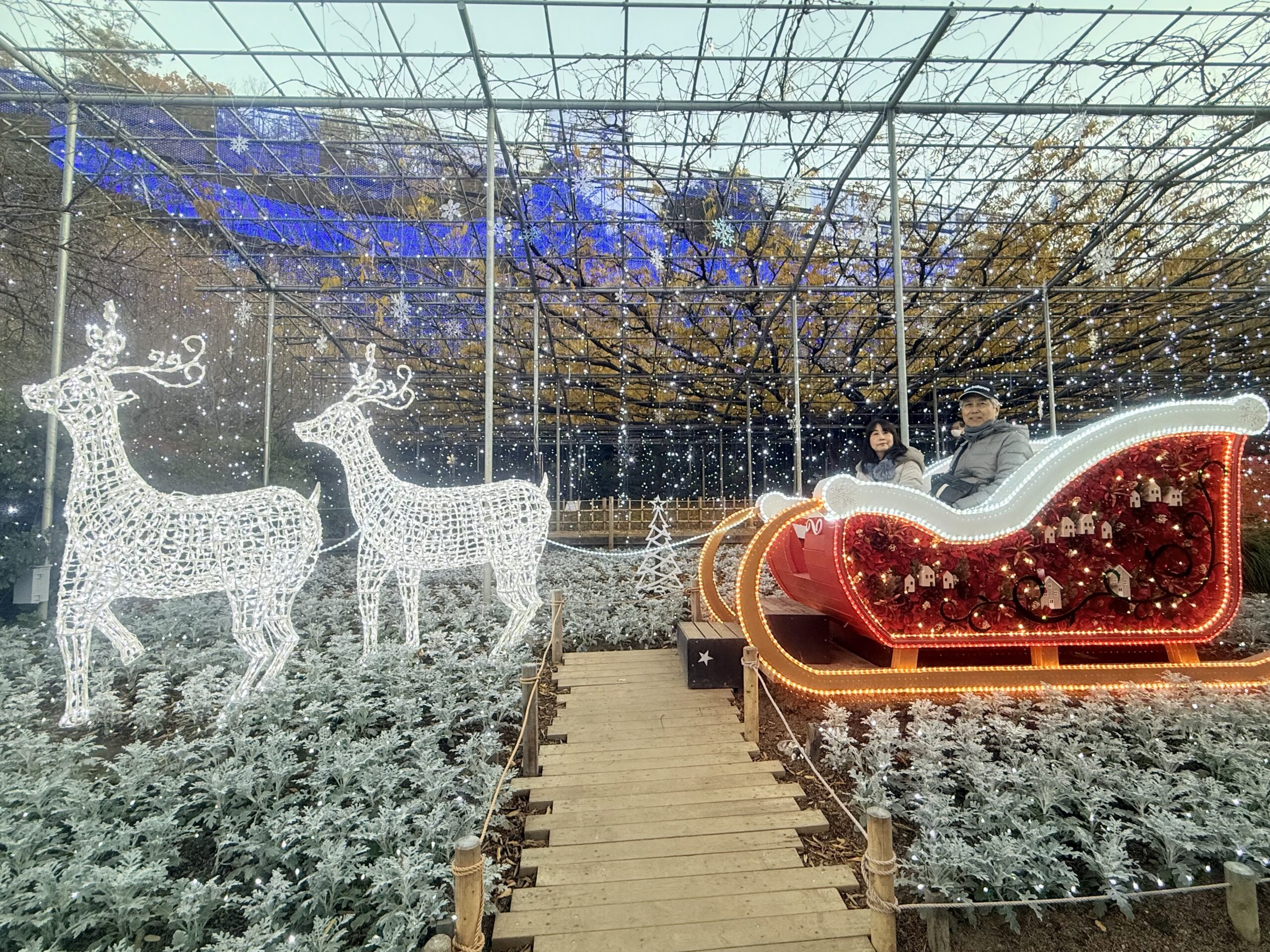 あしかがフラワーパークのクリスマスイルミネーションのフォトスポット