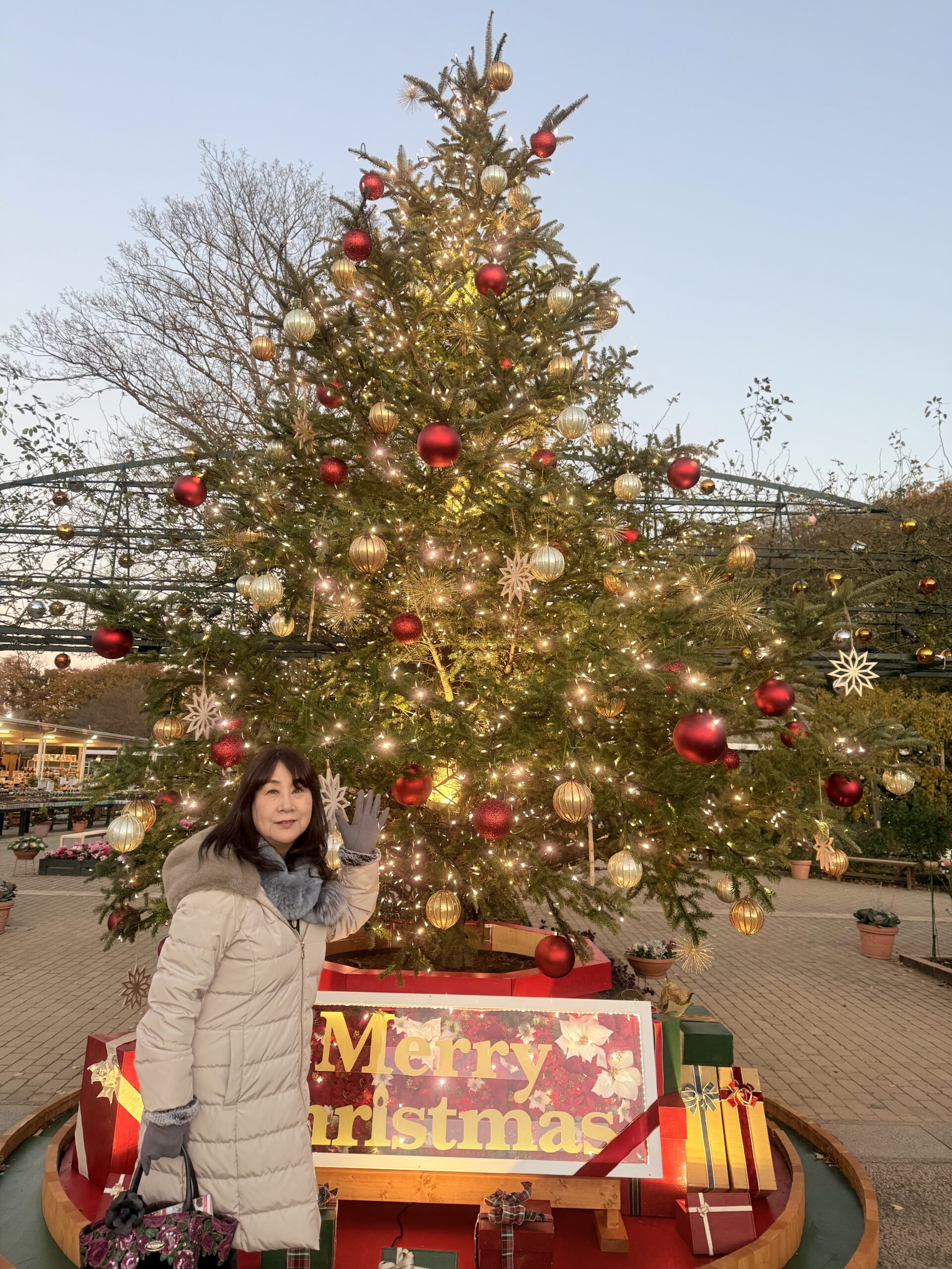 あしかがフラワーパーククリスマスイルミネーション