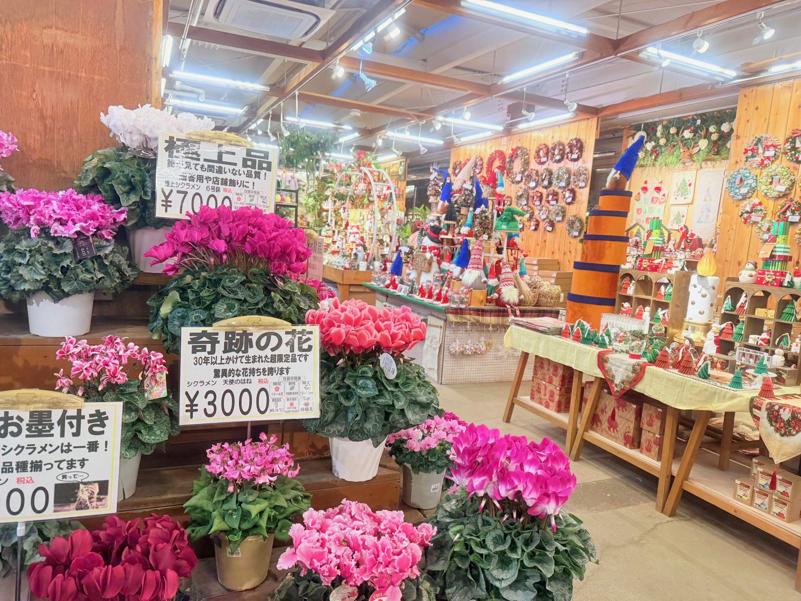 あしかがフラワーパークのお土産ショップ