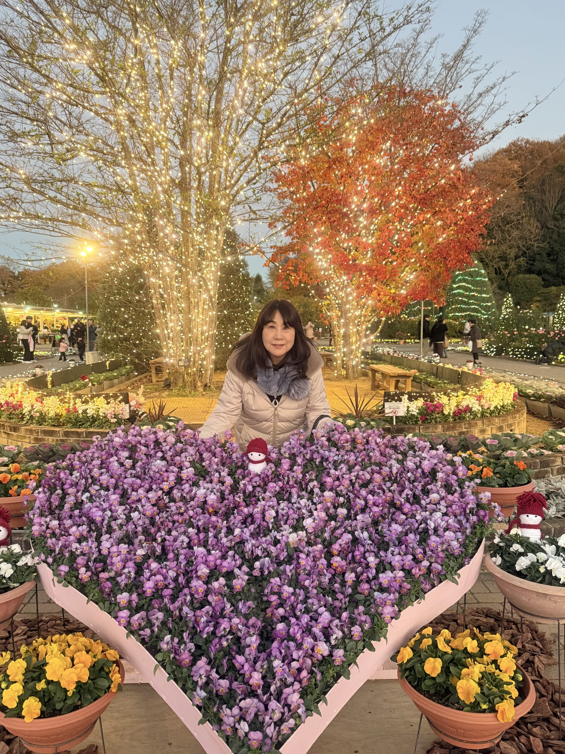 あしかがフラワーパークでお花とイルミネーションの同時撮影