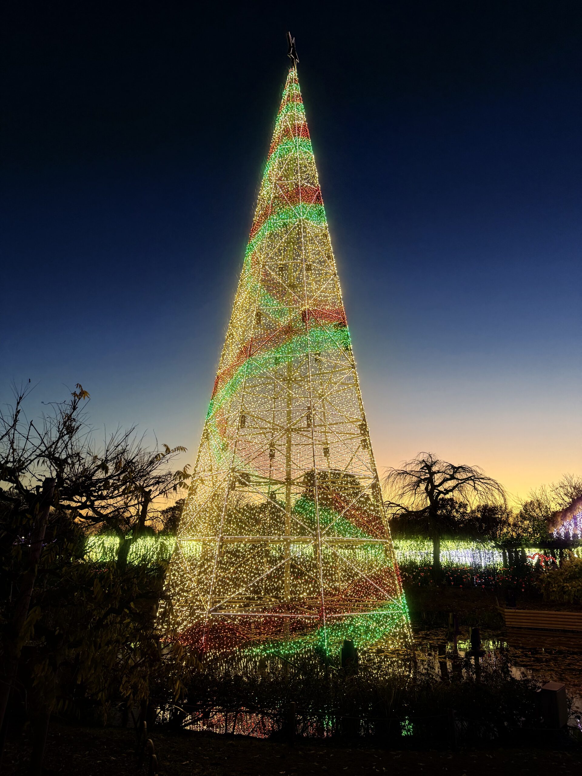 あしかがフラワーパークのクリスマスイルミネーションのツリー