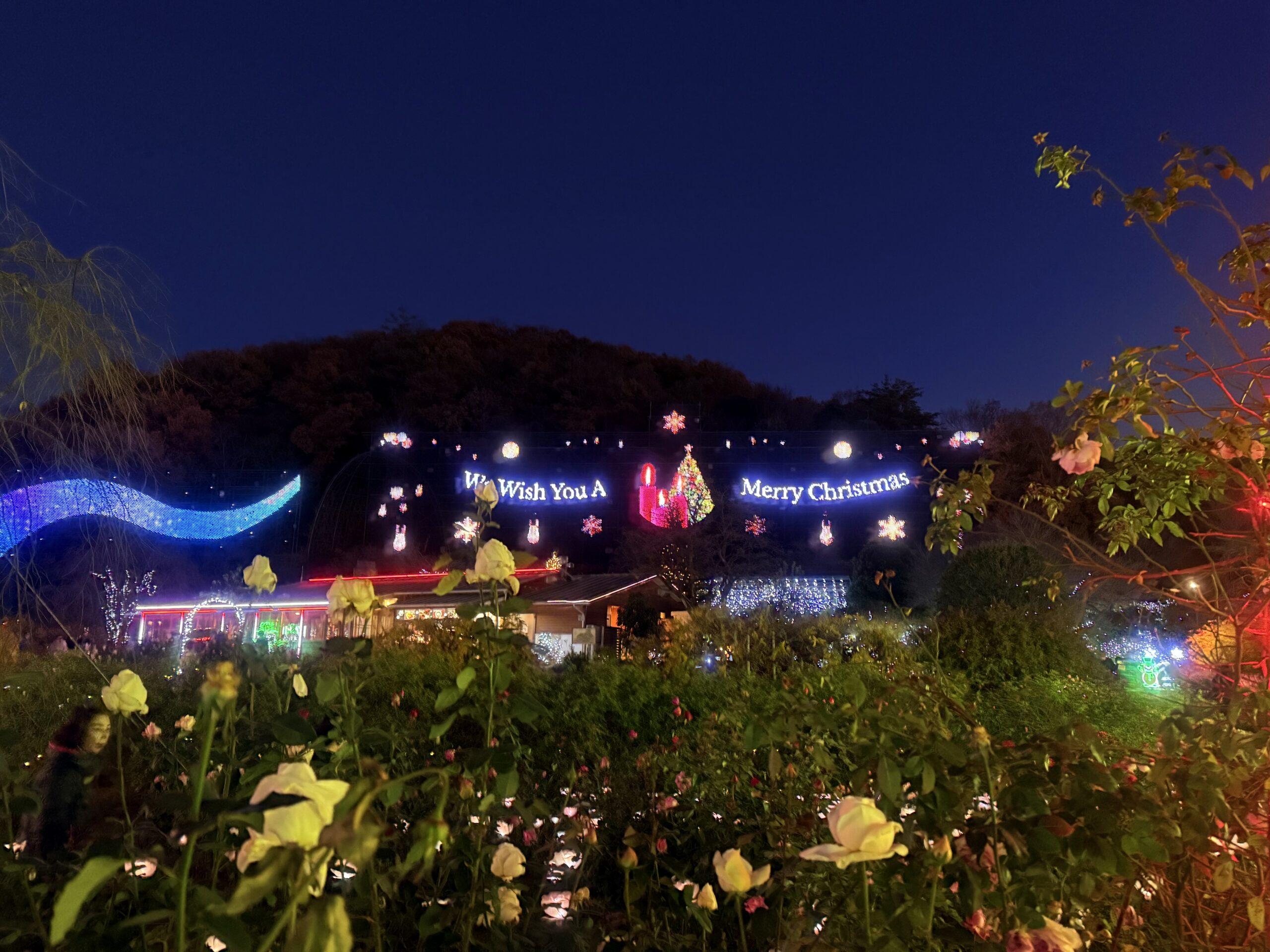 あしかがフラワーパークのクリスマスイルミネーション