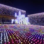 あしかがフラワーパークのお城のイルミネーション