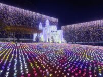 あしかがフラワーパークのお城のイルミネーション