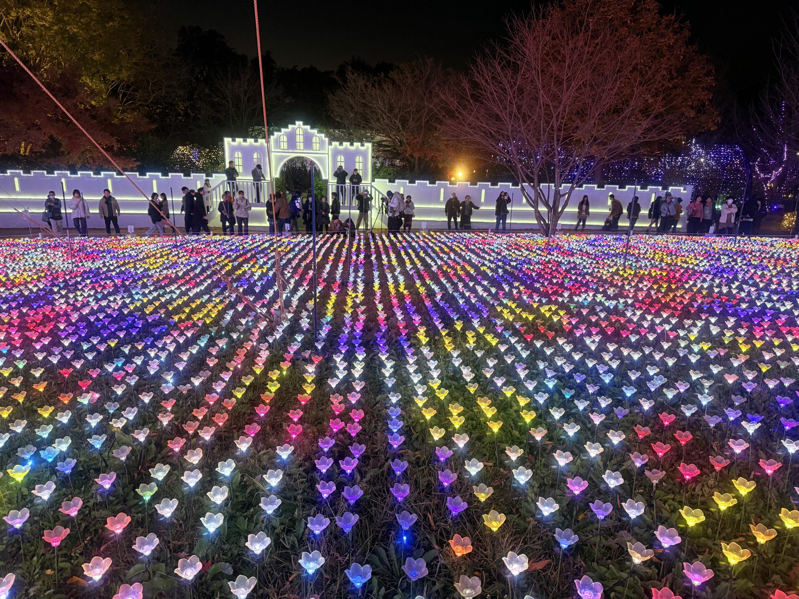 あしかがフラワーパークのお城の中からのイルミネーション