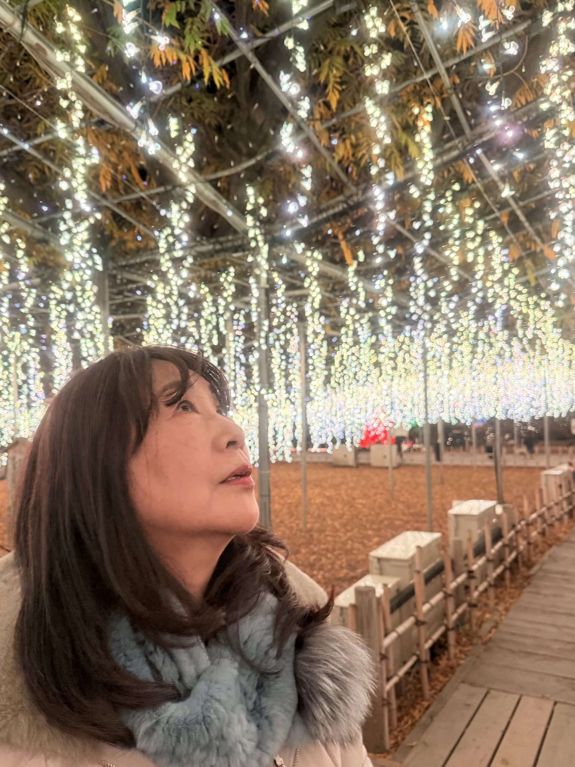 あしかがフラワーパークの藤の花のイルミネーションを眺めるままリン編集長