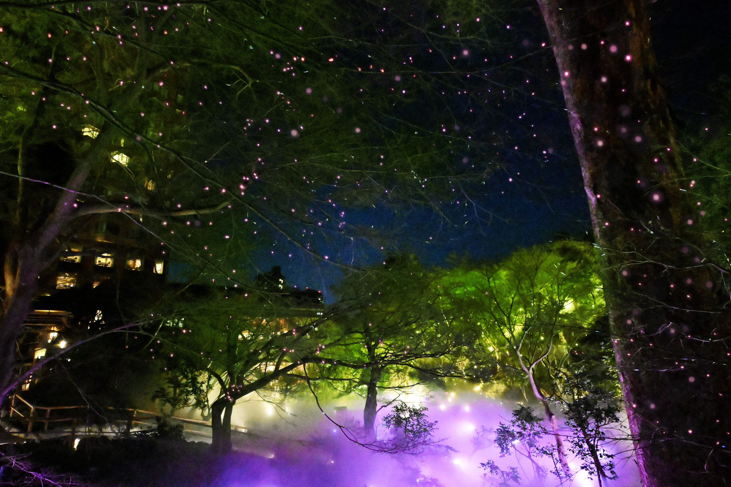 桜の花びらが舞う新演出も