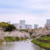 東京ステーションホテル桜・イメージ