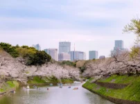 東京ステーションホテル桜・イメージ