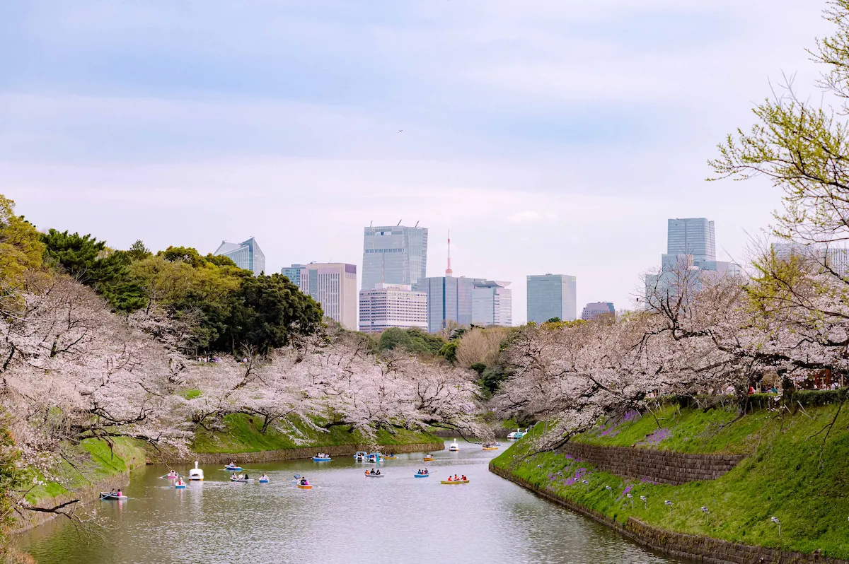 東京ステーションホテル桜・イメージ