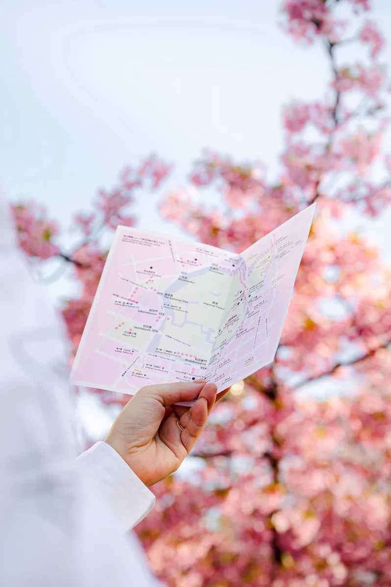 東京ステーションホテルホテルオリジナル桜マップ