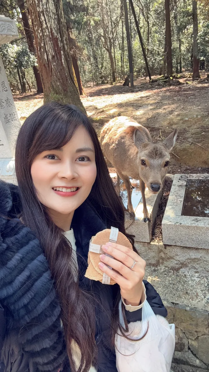 奈良公園でシカにおせんべいをあげる