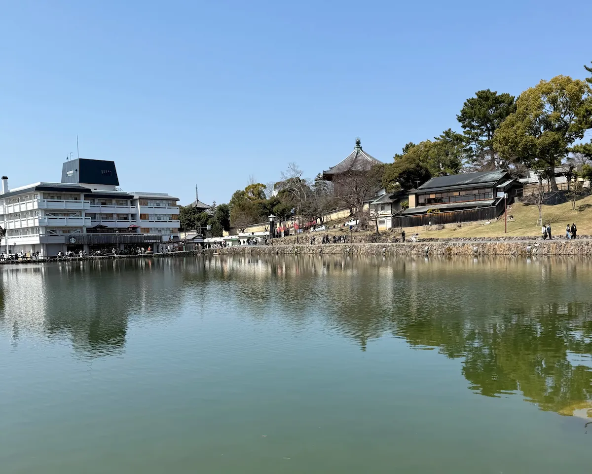 奈良公園の近くの池
