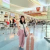 60代の軽量で大人可愛いスーツケース
