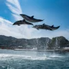 つくみイルカ島 3頭のイルカが一斉にジャンプするパフォーマンス
