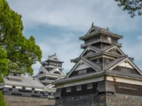 熊本城周辺　桜