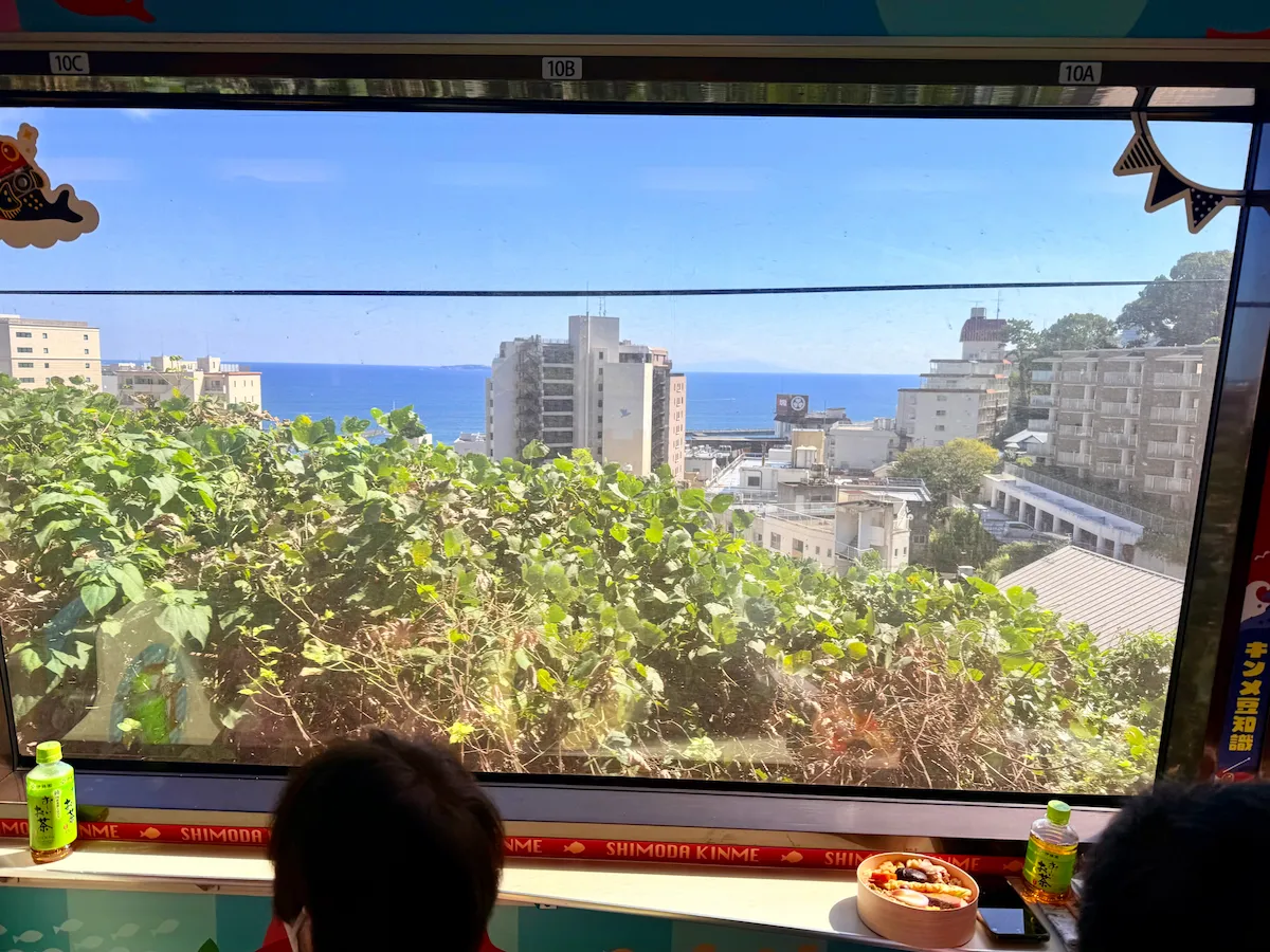キンメ電車の大きな窓から見える海の景色